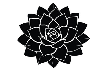 Black Silhouette of Succulent Plant with Dense Petals and Rosette Arrangement, Vector Image