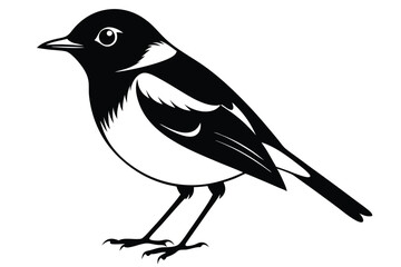 Striking Black and White Illustration of a Detailed Oriental MagpieRobin Bird Image