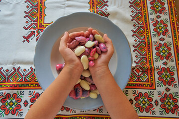 beans in her hands, child holding different types of beans and different colors