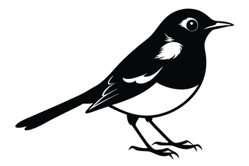 Simple Black and White Illustration of an Oriental MagpieRobin Bird Posing Sideways