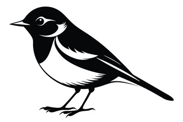 Black and White Magpie Lark Bird Graphic Design with Detailed Feathers