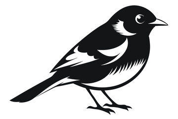 Graphic Illustration of a Black and White Songbird Perched on Two Legs Profile View