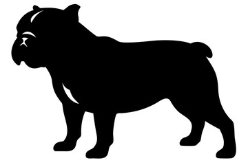 Silhouette of a Dwarf Bulldog Dog Standing animal