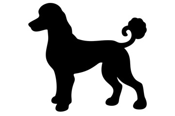 Tan Poodle Dog Silhouette on White Background animal