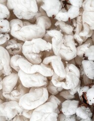 Close Up Cotton Bolls in Water Fiber Material with Textured Detail in White