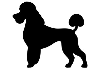 Black Poodle Dog Silhouette animal