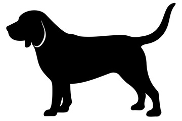 Beagle dog silhouette on white background animal