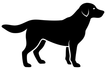 Golden Retriever Dog Silhouette animal