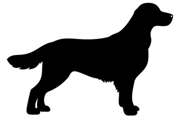 Long Haired Golden Retriever Dog Silhouette animal