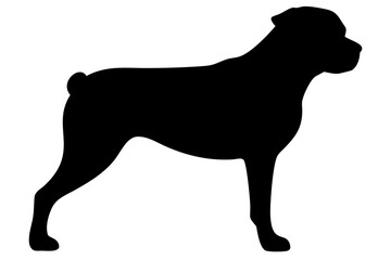 Rottweiler Dog Silhouette animal 1