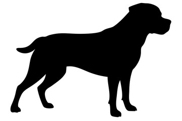 Rottweiler Dog Silhouette animal 2