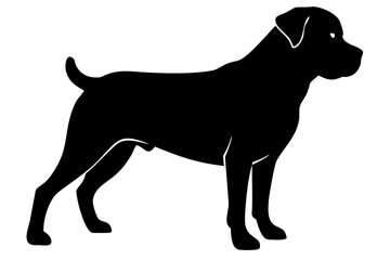 Rottweiler dog silhouette on white background animal