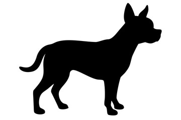 Silhouette of a Giant Chihuahua Dog Standing animal