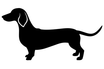 Albino Dachshund Dog Silhouette animal