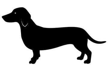 Black Dachshund Dog Silhouette animal