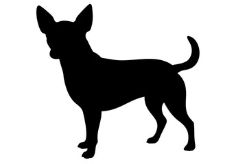 Black chihuahua dog silhouette animal
