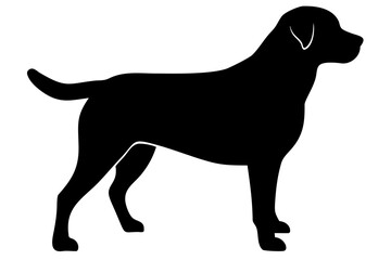 Albino Rottweiler Dog Silhouette white dog silhouette