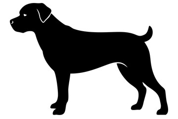 Brown Rottweiler Dog Silhouette animal