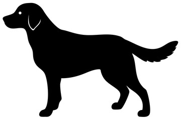 Golden Retriever Dog Silhouette animal 1