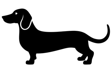 Dachshund dog silhouette on white background animal 1