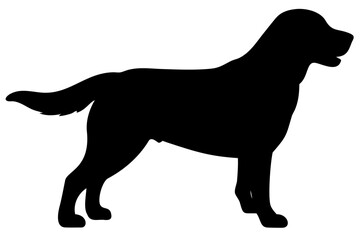 Golden Retriever Dog Silhouette animal 4