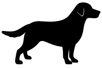Golden Retriever Dog Silhouette with Blue Accents animal
