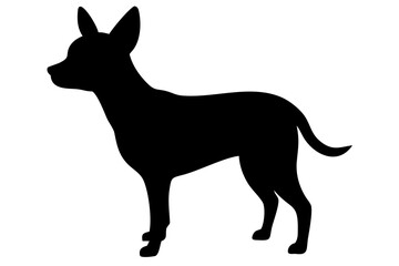 White Chihuahua Dog Silhouette animal