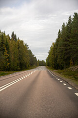 Fototapeta premium Endless Forest Road in Northern Europe: Serene Autumn Drive Through Lush Green Pines Under Overcast Sky – Nature's Journey