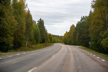Endless Forest Road in Northern Europe: Serene Autumn Drive Through Lush Green Pines Under Overcast Sky – Nature's Journey