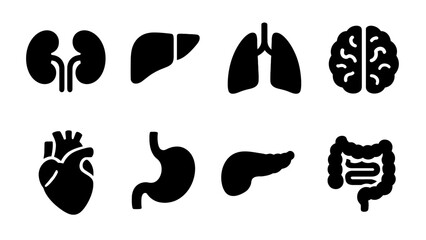 Set of human organ icons: kidney, liver, lung, brain, heart, stomach, pancreas, intestine.