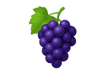 Fototapeta premium Purple grape bunch with leaf vector icon. Realistic fresh fruit illustration isolated on white. Healthy organic food symbol for winery, juice package, or grocery design.