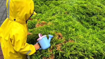Child in a yellow raincoat watering green bushes with a toy watering can during a rainy day....