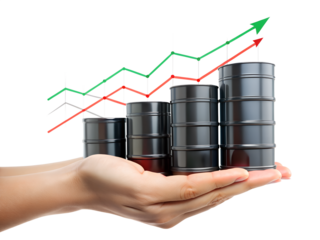 hand holding a graph isolated on white background. PNG Transparent file type with high definition quality And vibrant color grading Available.