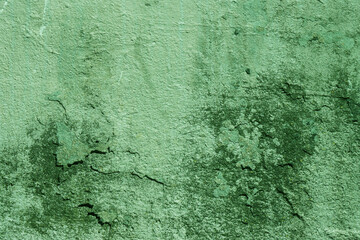 Old abandoned, damp, green wall close-up.