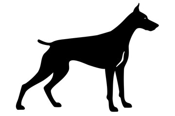 Albino Doberman Dog Silhouette doberman pinscher white doberman