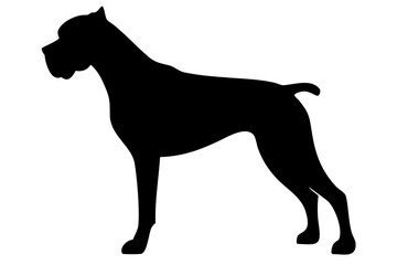 Boxer Dog Silhouette on White Background animal 1