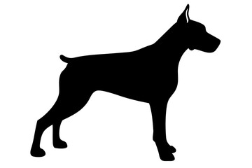 Doberman Pinscher Silhouette canine animal