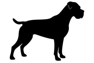 Brown Boxer Dog Silhouette on White Background animal