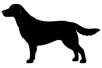 Golden Retriever Dog Silhouette animal