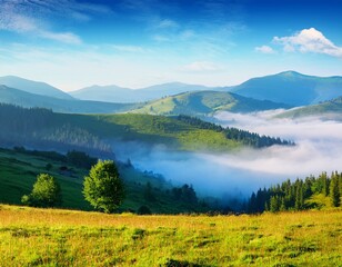 Fototapeta premium mountainous countryside landscape with fog in the distant valley mist rolling among hills in morning light stunning view of carpathians in summer clouds on the blue sky rural scenery