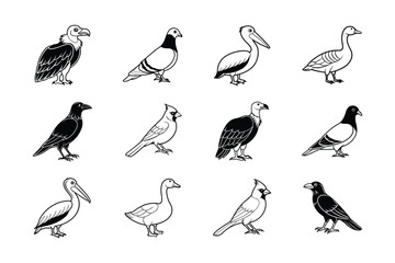 Set of Bird cardinal, crow, goose, pelican, pigeon and vulture vector art on white background