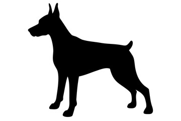 Silhouette of a Doberman Pinscher dog standing canine