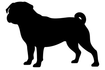 Silhouette of a Giant Pug Dog animal