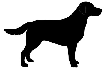 Tan Golden Retriever Dog Silhouette animal