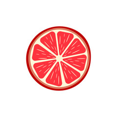 Citrus fruit slices. Round slices of orange, lemon, lime, grapefruit and halves. Vector illustration	