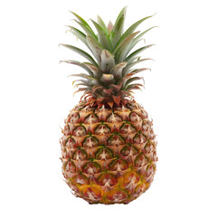 Fototapeta premium Single pineapple, whole, front view