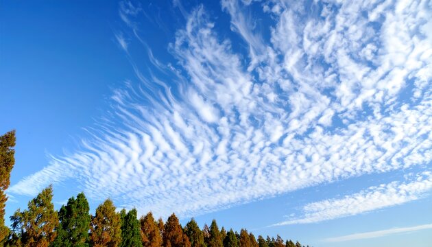 A sky filled with unusual clouds
