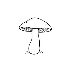 Simple line sketch of a mushroom on grass  