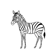 Zebra standing in a simple line sketch style with black stripes  