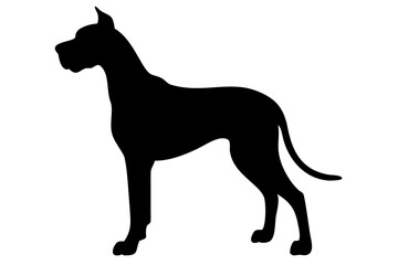 Mini Great Dane Dog Silhouette on White Background